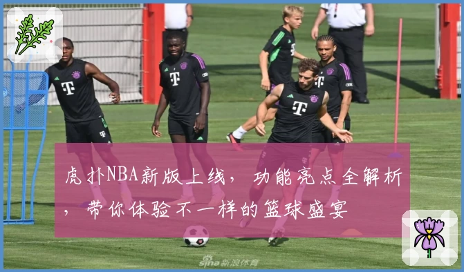 虎扑NBA新版上线，功能亮点全解析，带你体验不一样的篮球盛宴