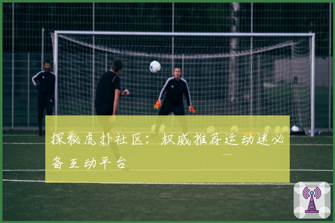 探秘虎扑社区：权威推荐运动迷必备互动平台