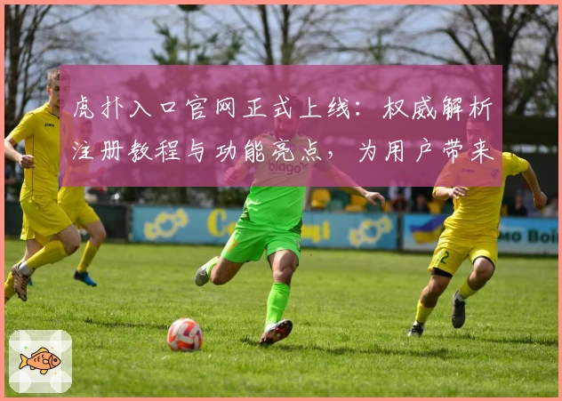 虎扑入口官网正式上线：权威解析注册教程与功能亮点，为用户带来全新体验