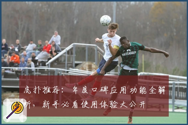 虎扑推荐：年度口碑应用功能全解析，新手必看使用体验大公开