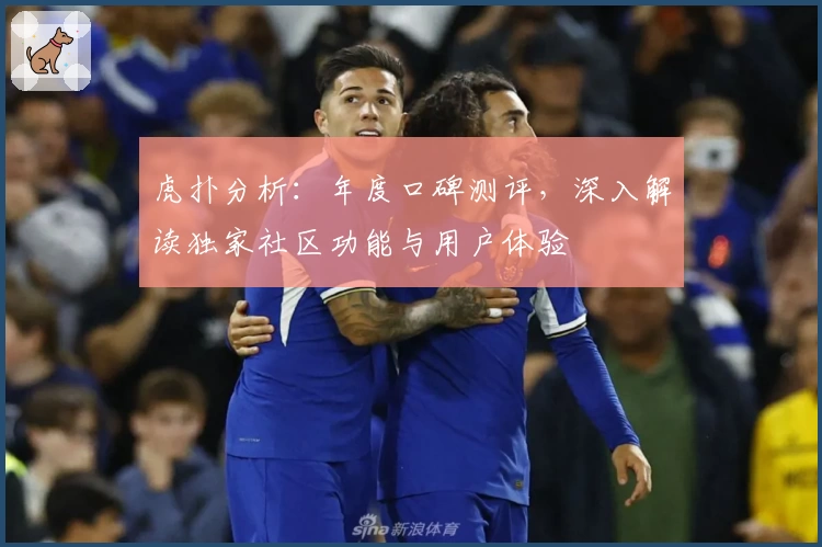 虎扑分析：年度口碑测评，深入解读独家社区功能与用户体验
