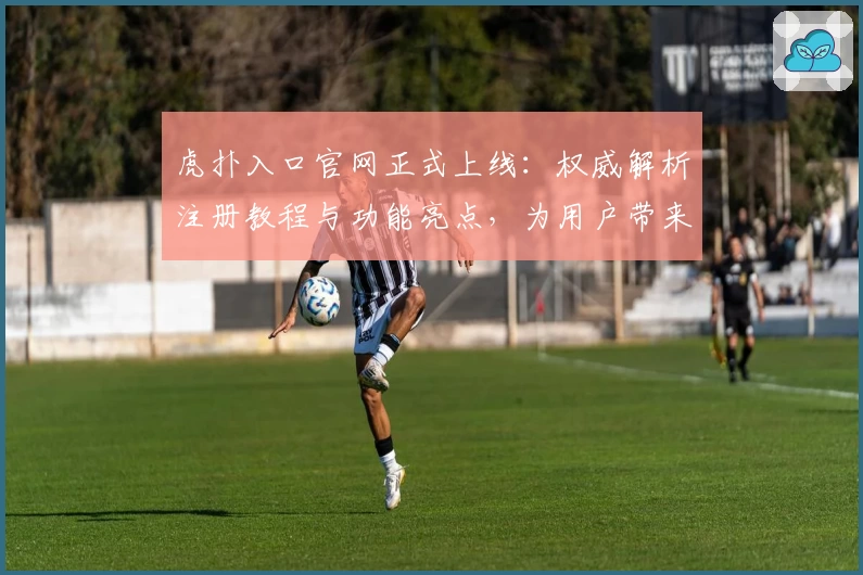 虎扑入口官网正式上线：权威解析注册教程与功能亮点，为用户带来全新体验